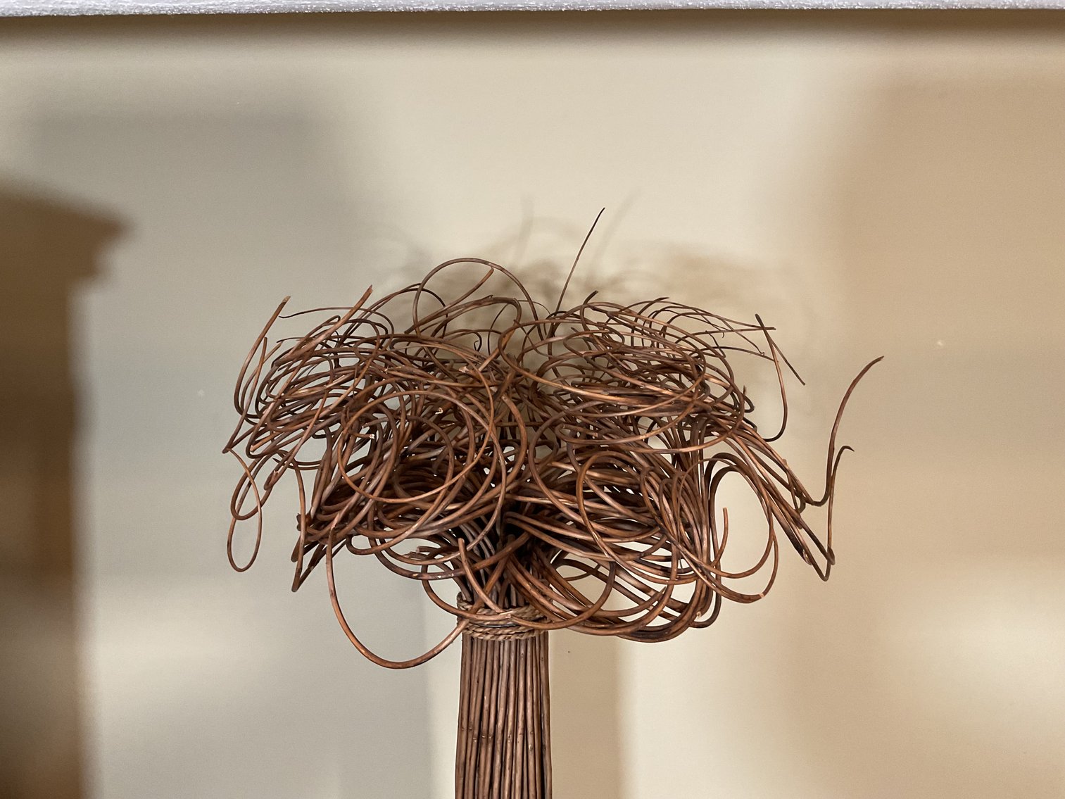 Image for Decorative Reeds