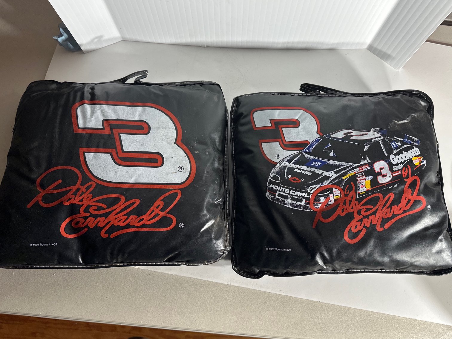 Image for DALE EARNHARDT