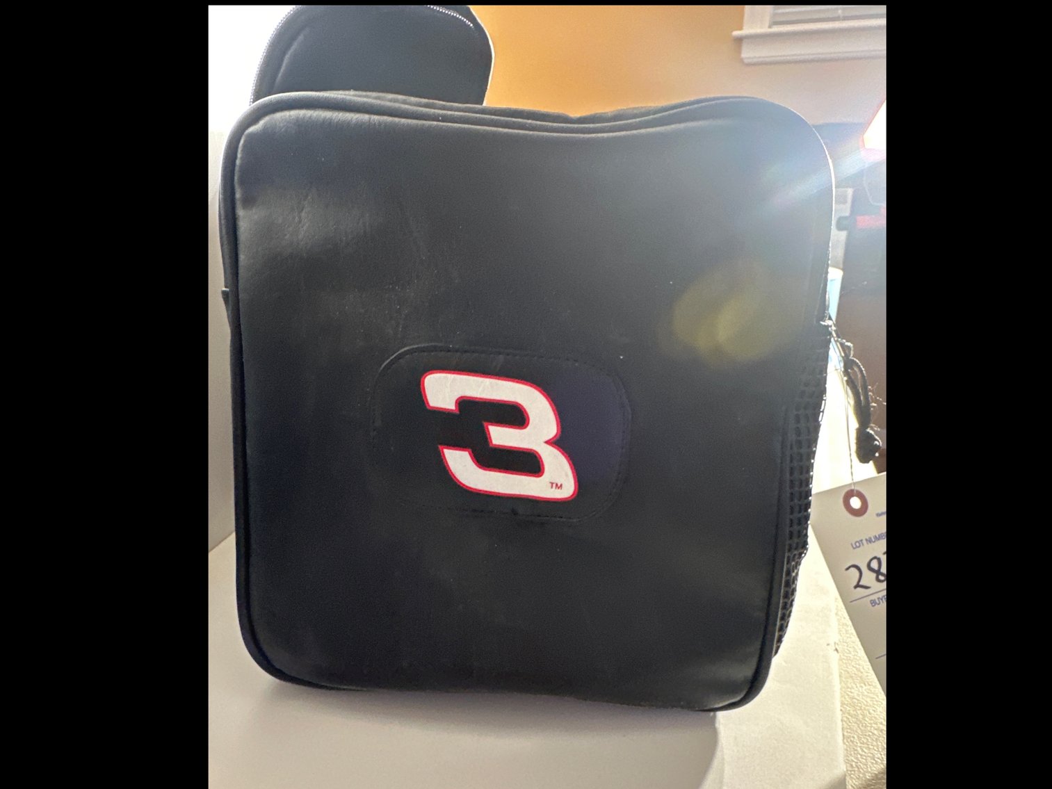 Image for DALE EARNHARDT