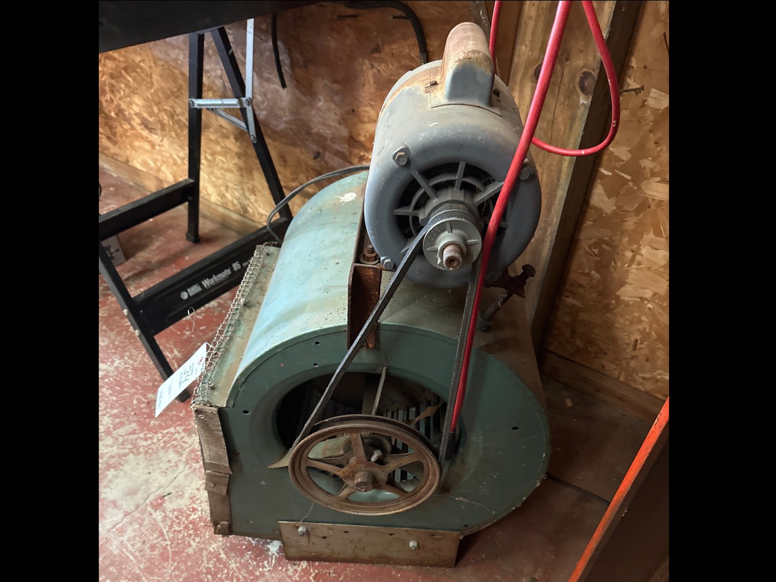 Image for Squirrel cage, floor fan