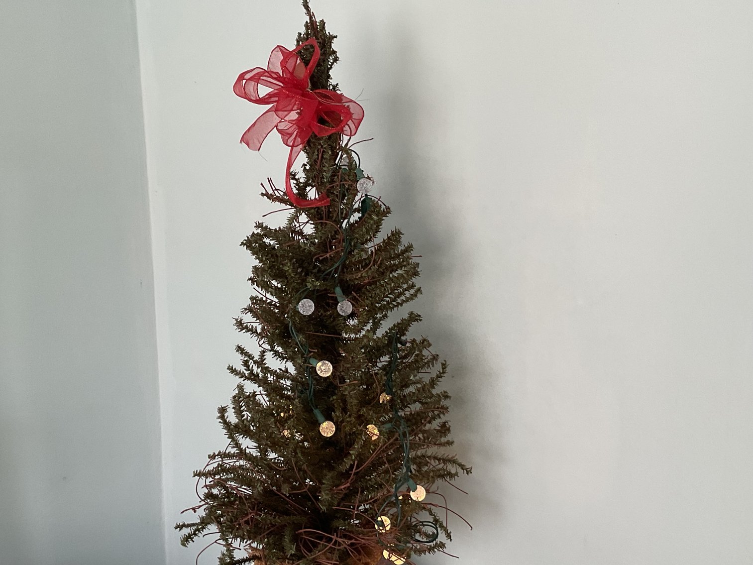 Image for 3’ Lighted Tree