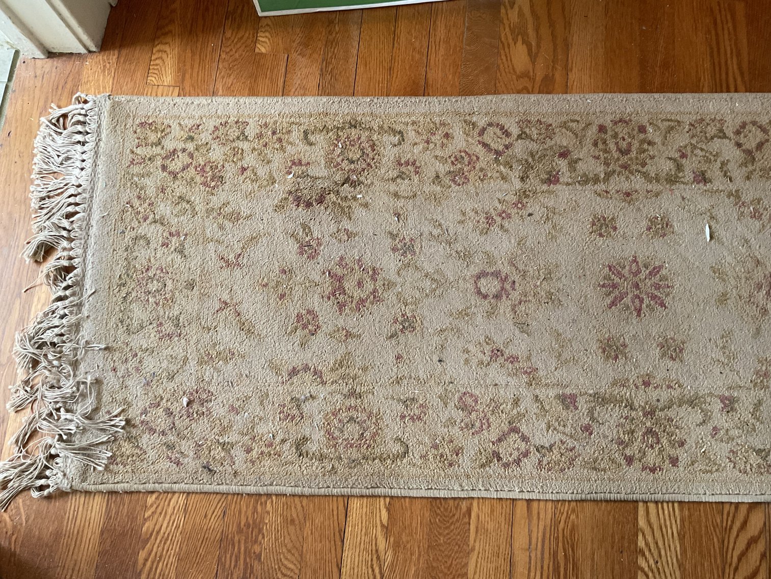 Image for Shaw Runner