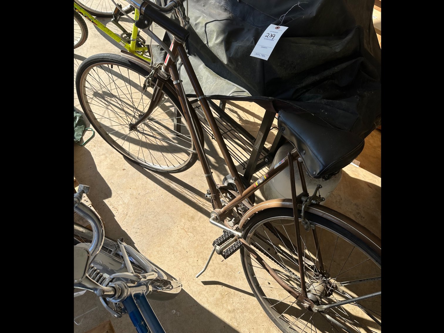 Image for Pilot bicycle for adults