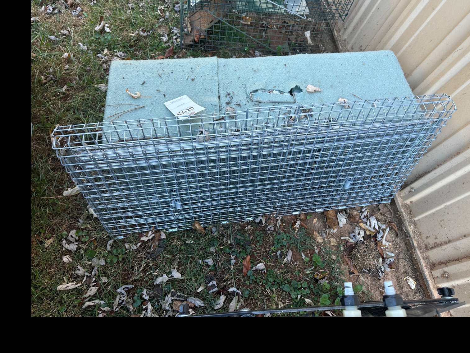 Image for Animal traps