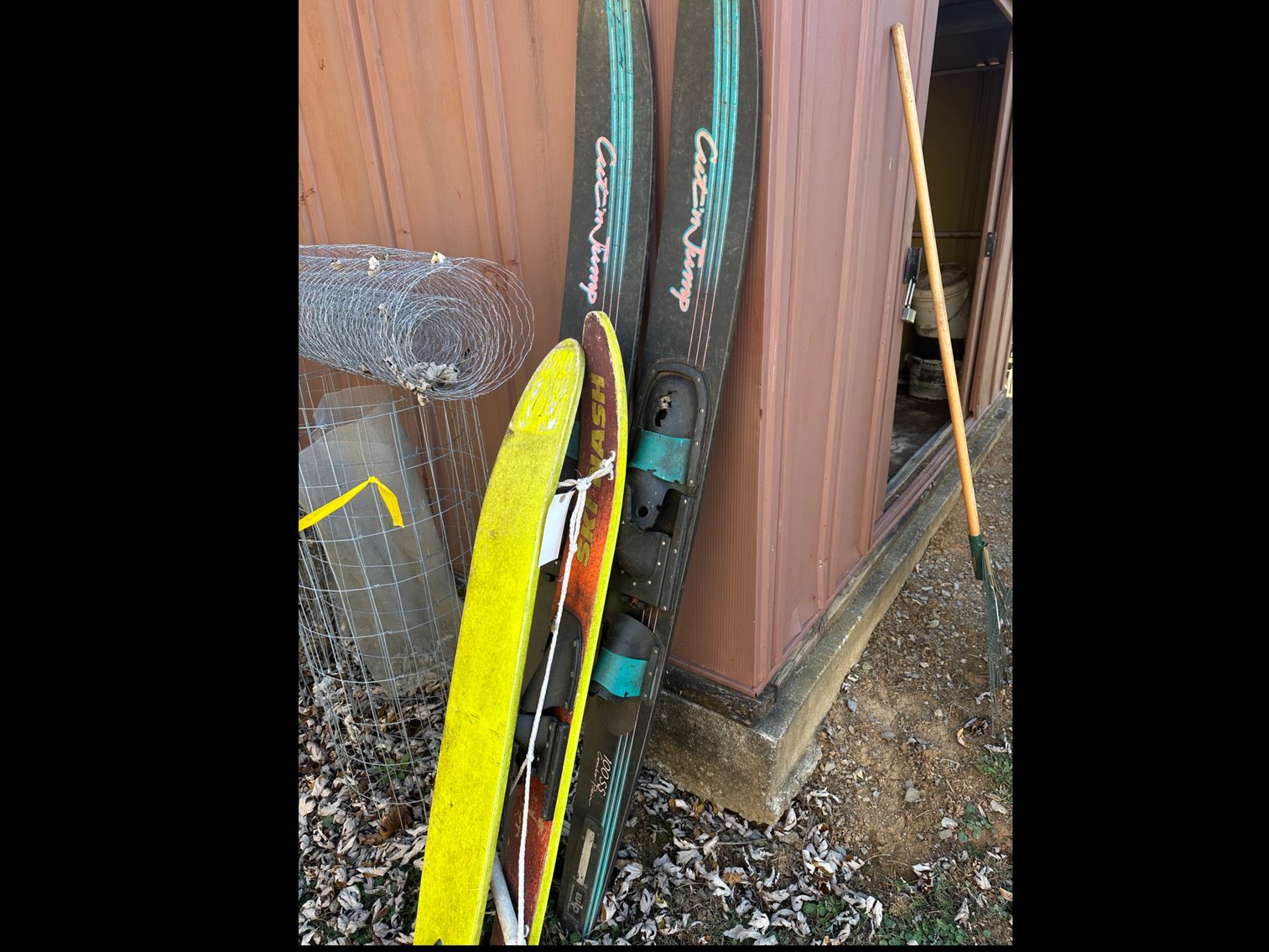 Image for Water skis