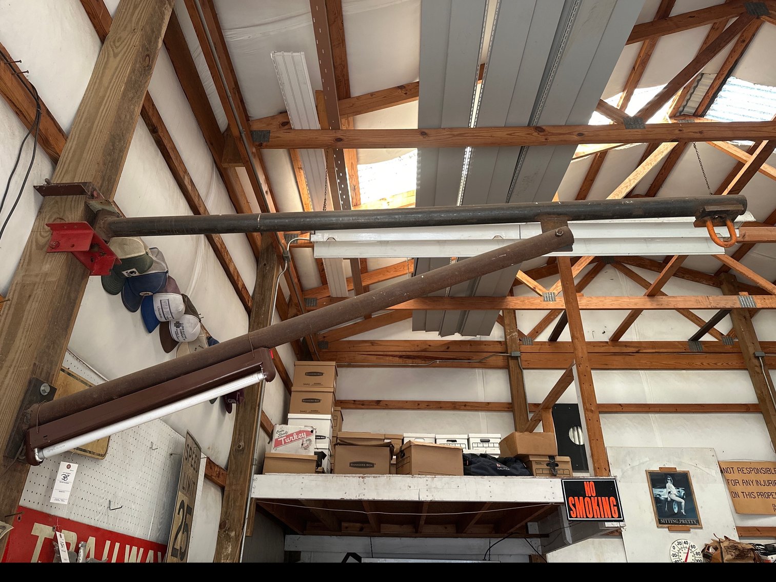 Image for Post mounted hoist arm