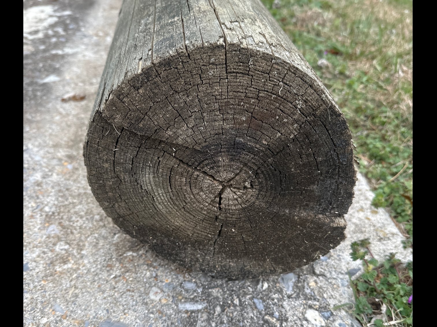 Image for Telephone pole