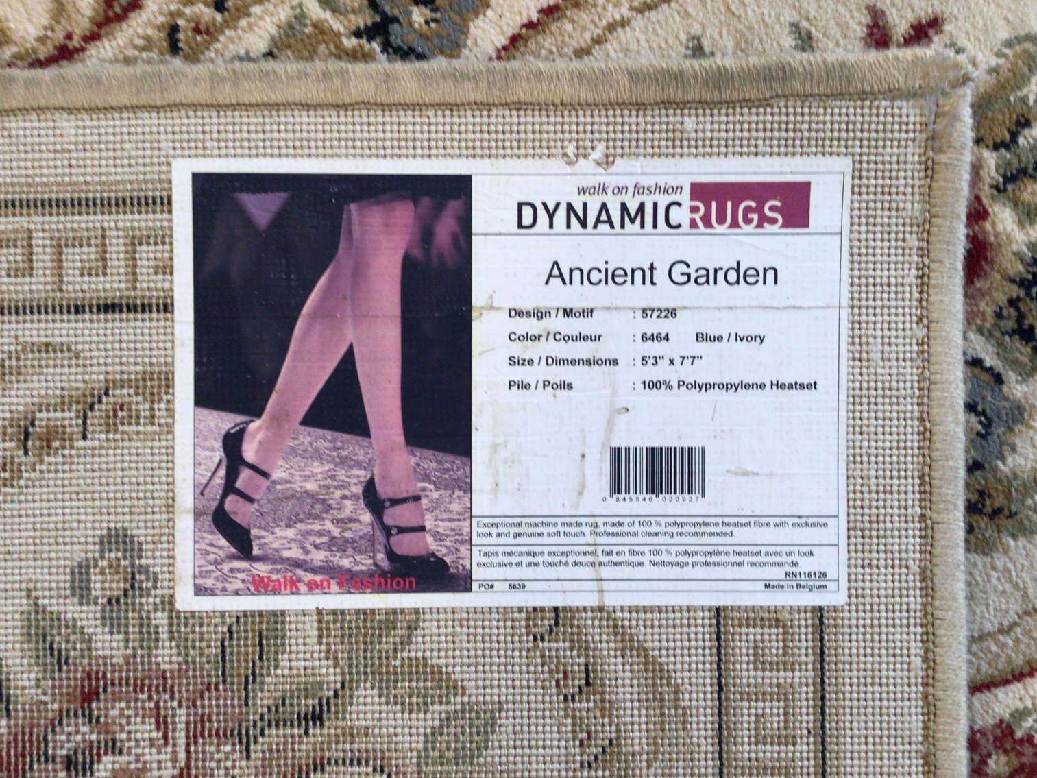 Image for Pair of Matching Area Rugs