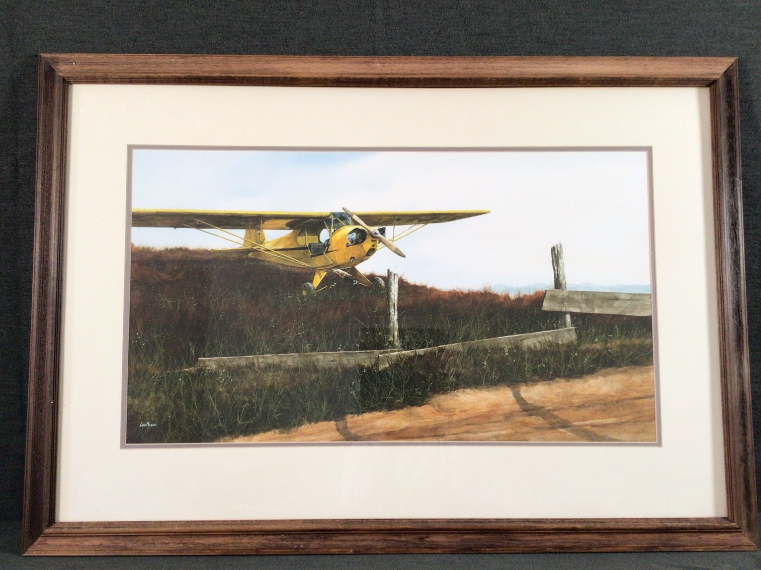 Image for Airplane Painting by Lou Messa