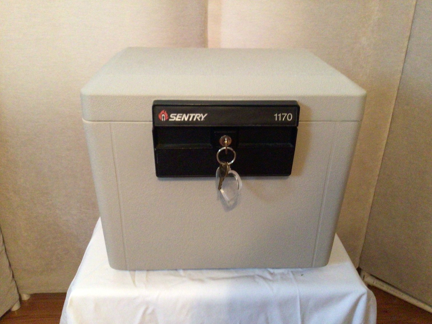 Image for Sentry Fire Resistant Safe and More