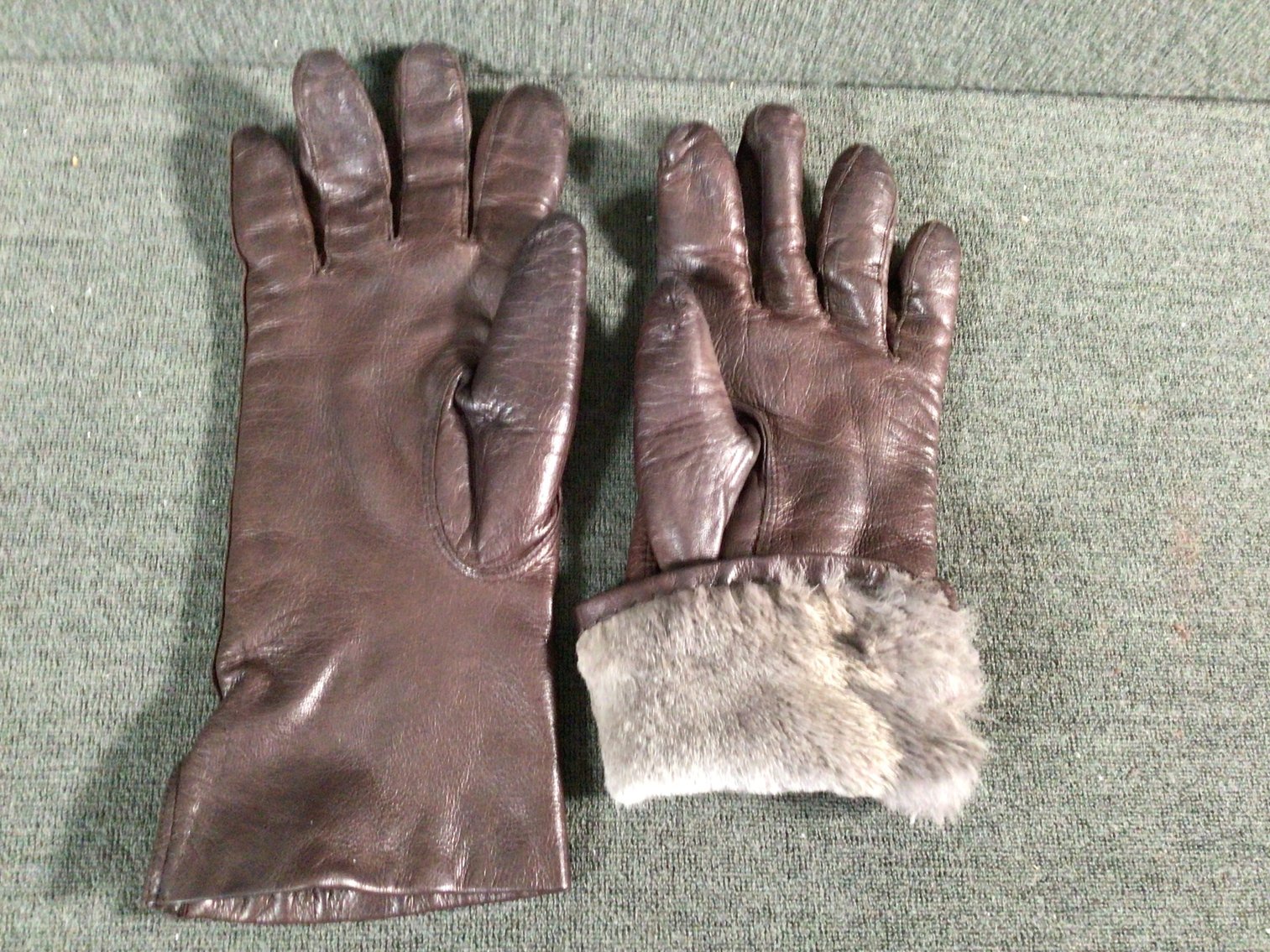 Image for 5 Pairs Ladies Gloves