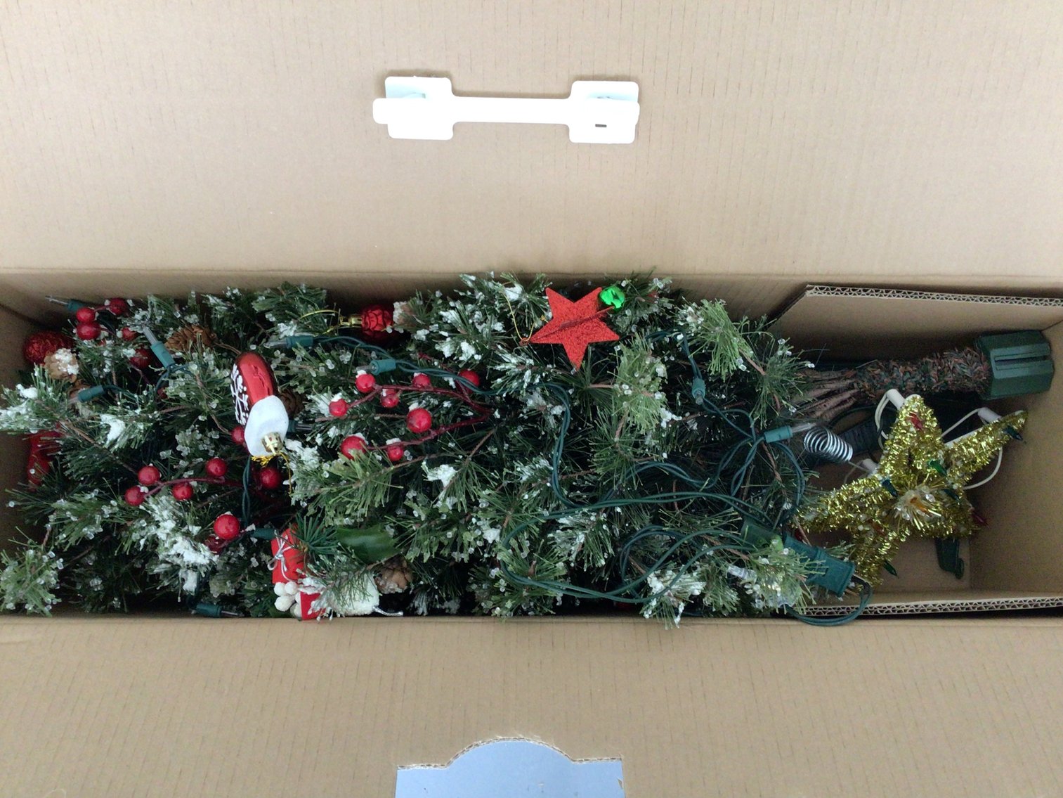 Image for Holiday Lot