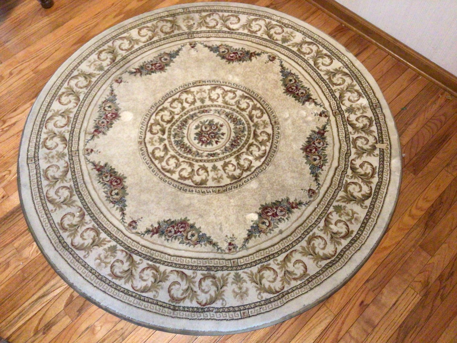 Image for Area Rug and Hall Runner