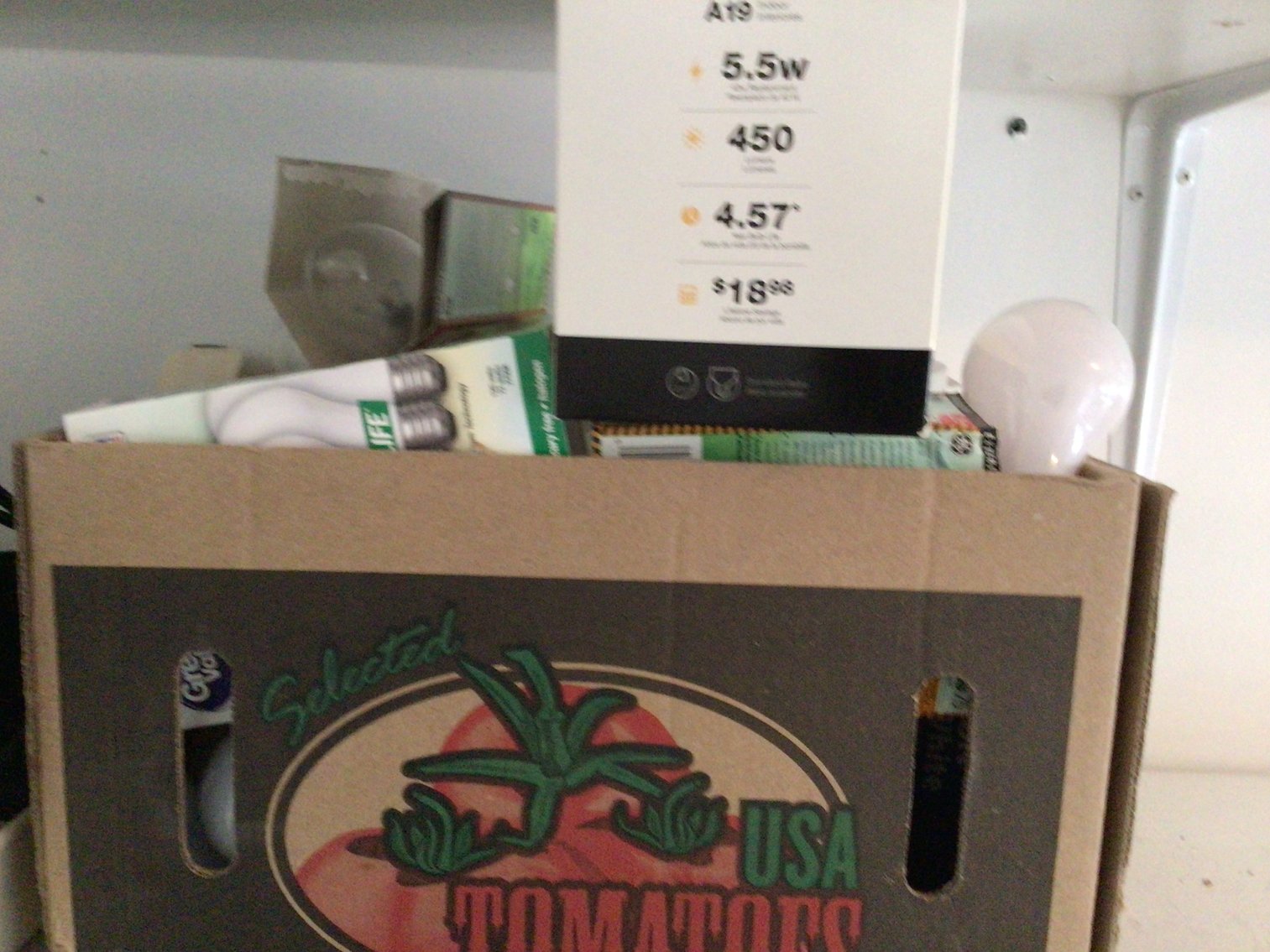 Image for Handyman Lot