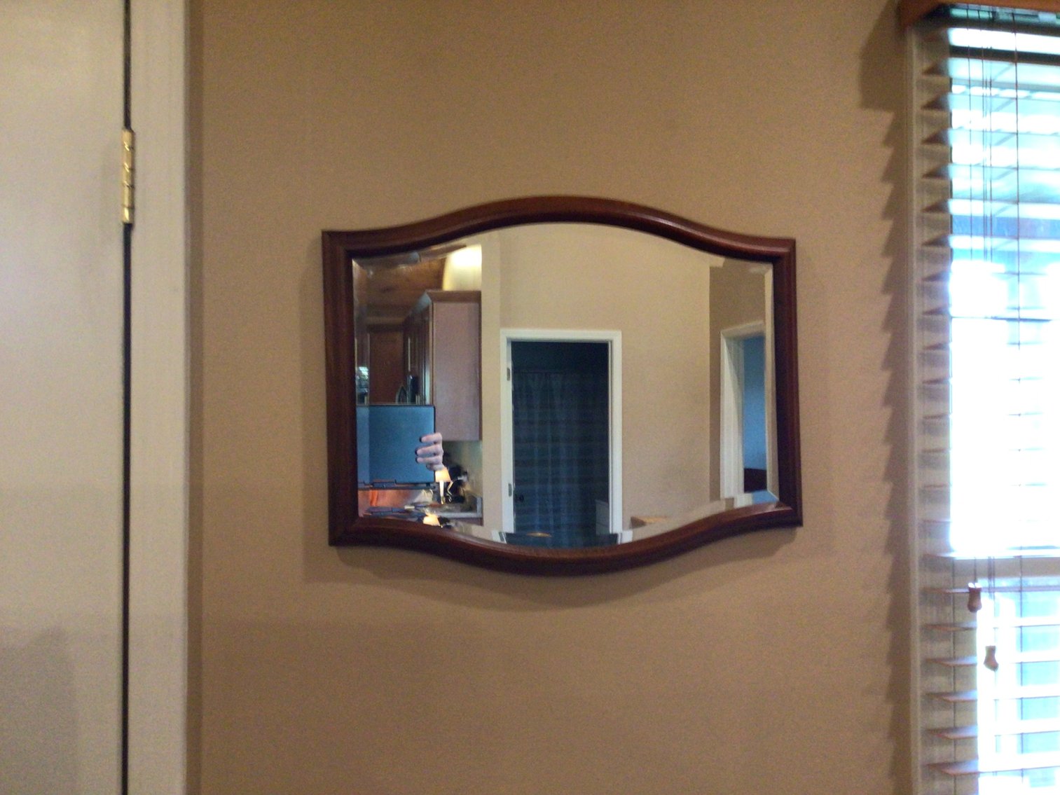 Image for Mirror