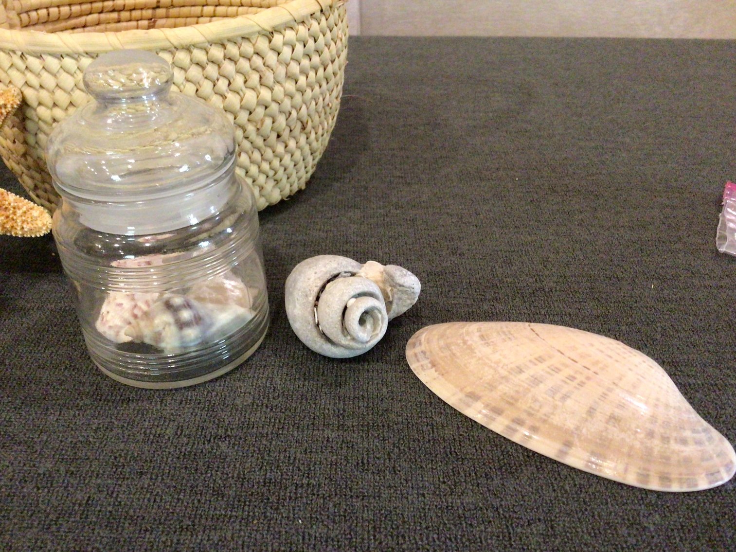 Image for Decorator Lot - Seashells