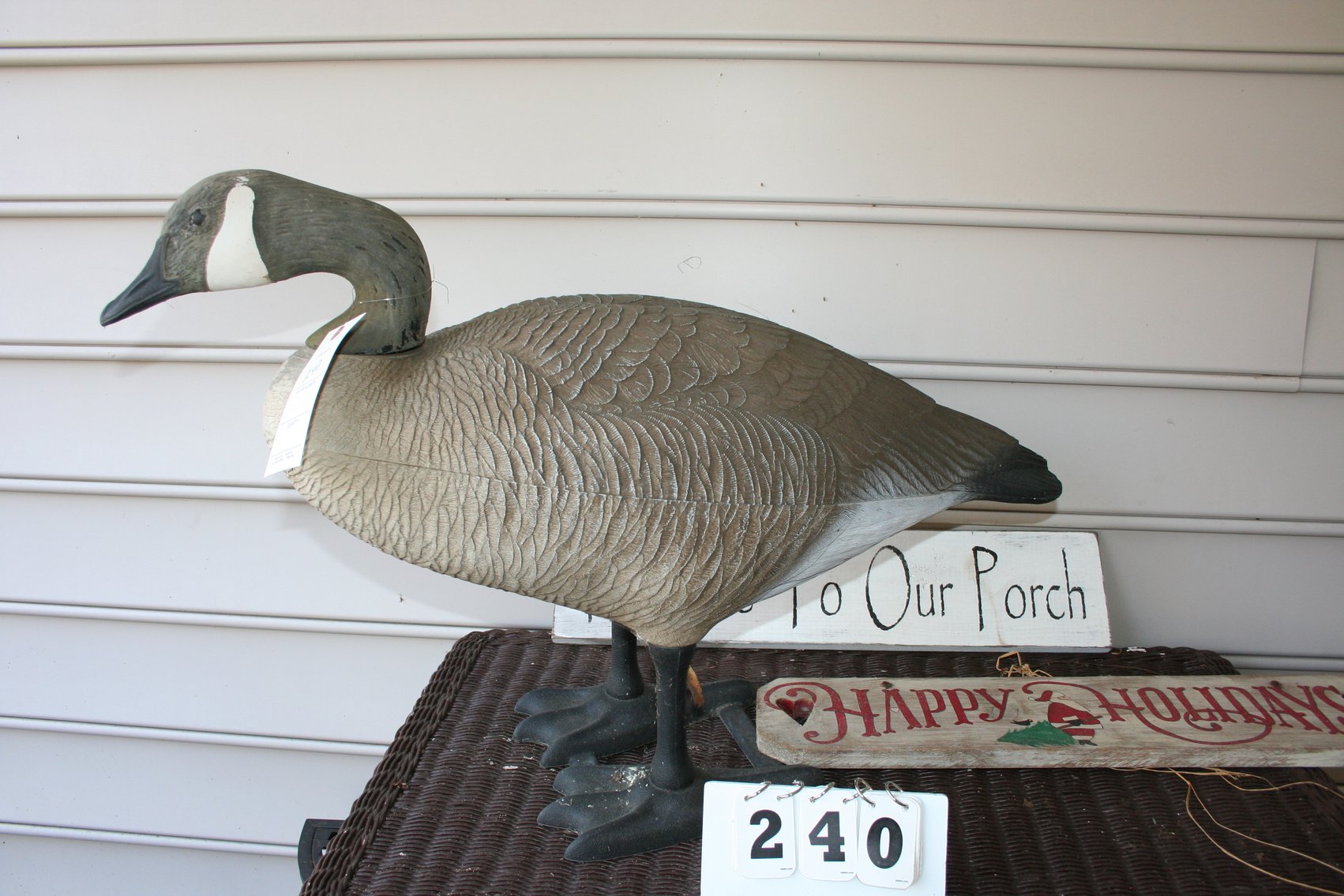 Image for Canadian Goose