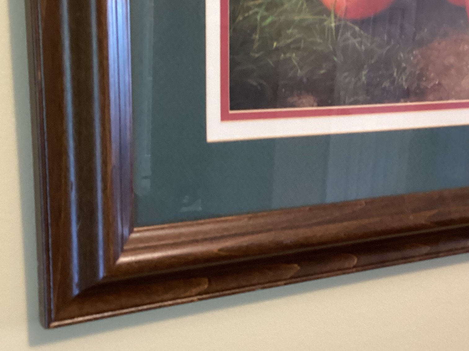 Image for Framed Print