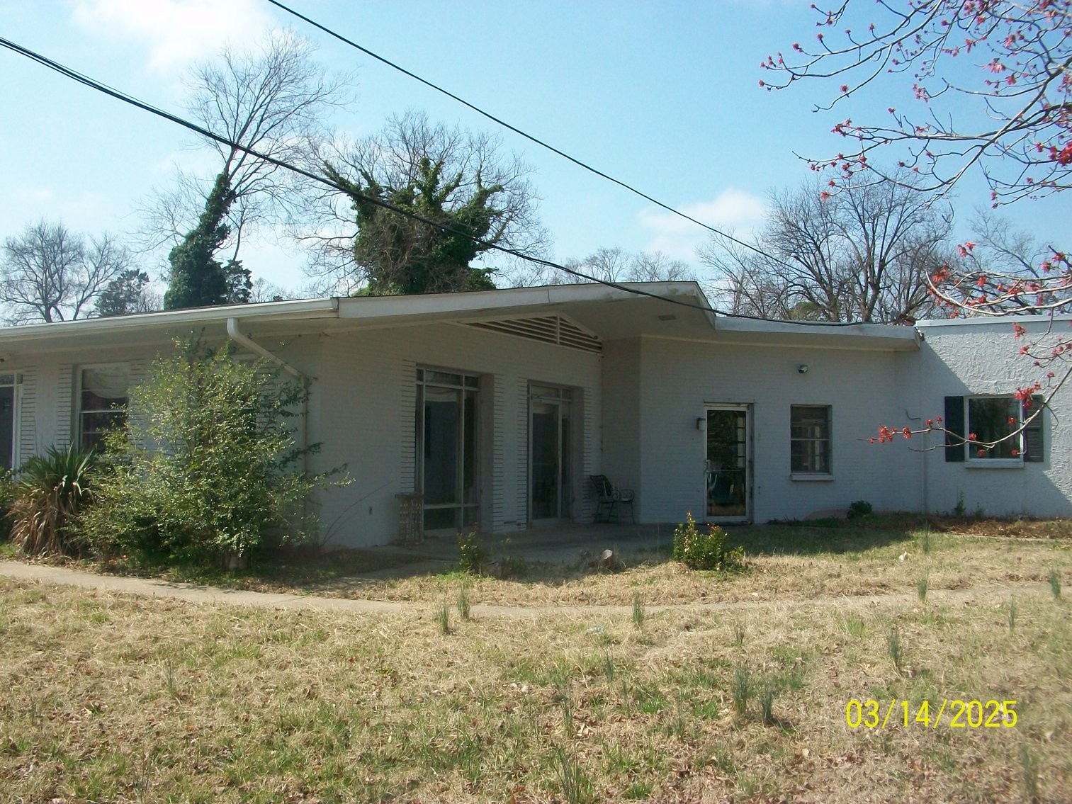 Image for Boston Commons