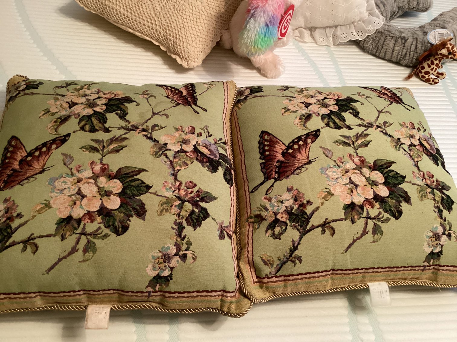 Image for Pillows & Mink Teddy Bear