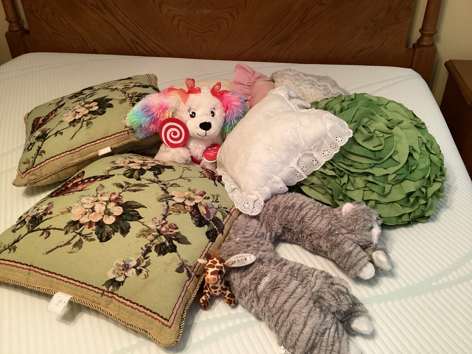 Image for Pillows & Mink Teddy Bear