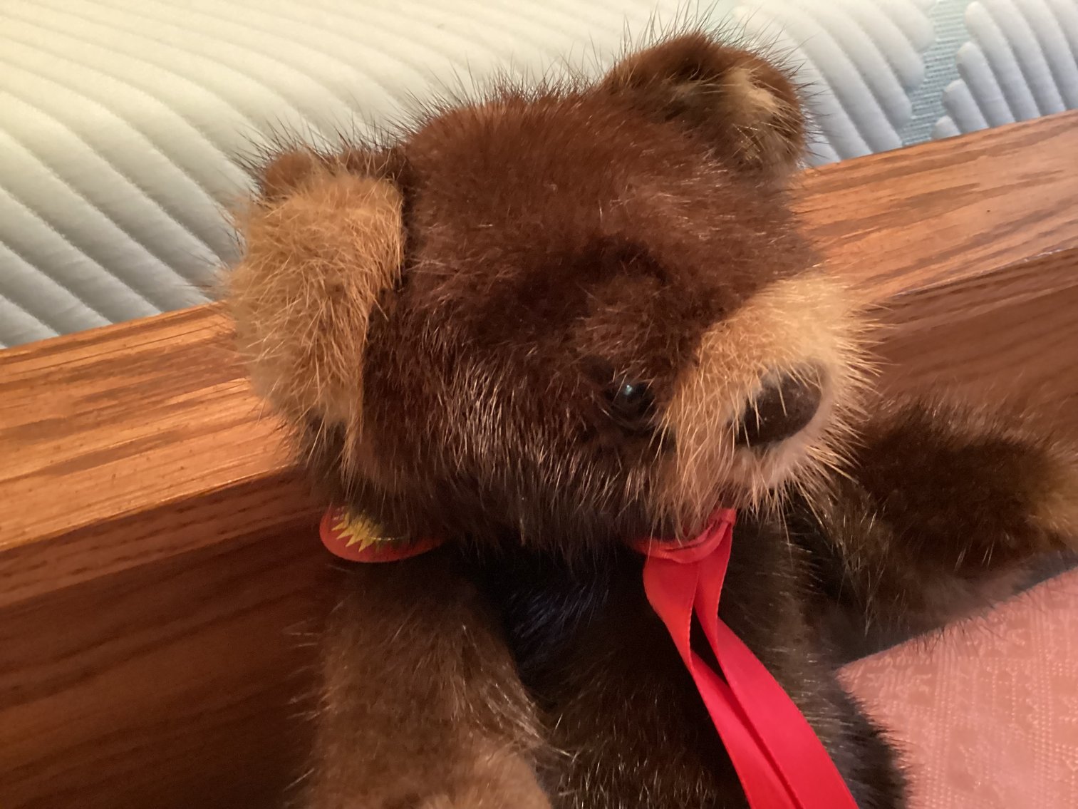 Image for Pillows & Mink Teddy Bear