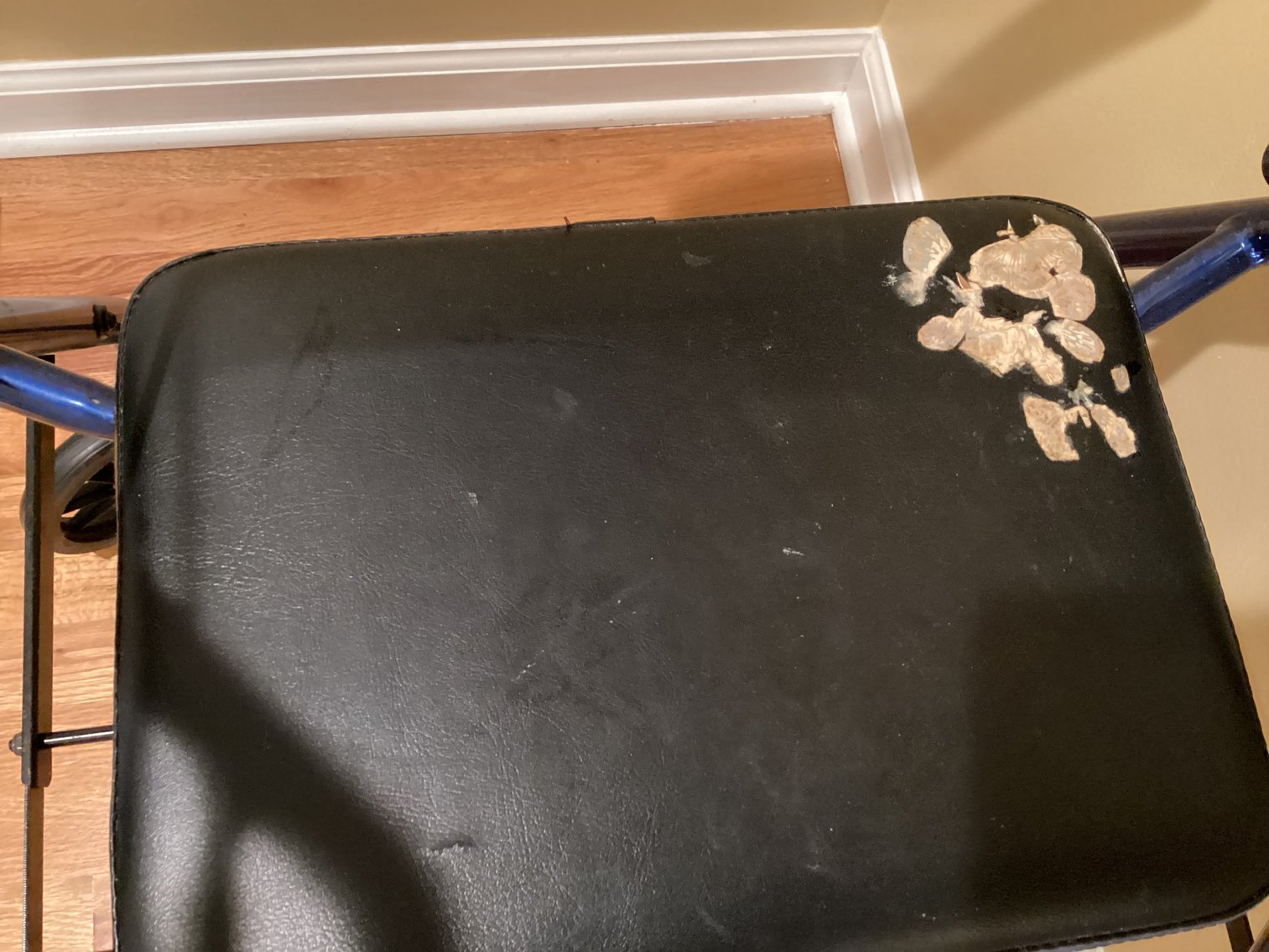 Image for Walker - Rollator