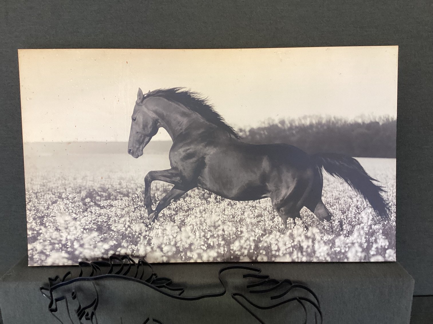 Image for Horse Decor