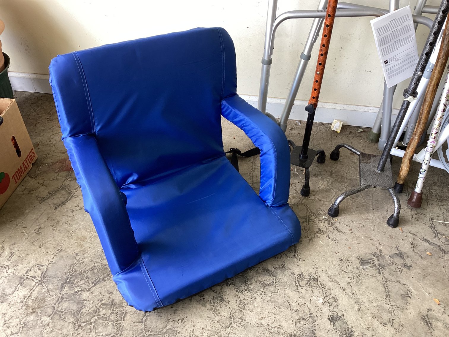 Image for Two Walkers and a Potty Chair