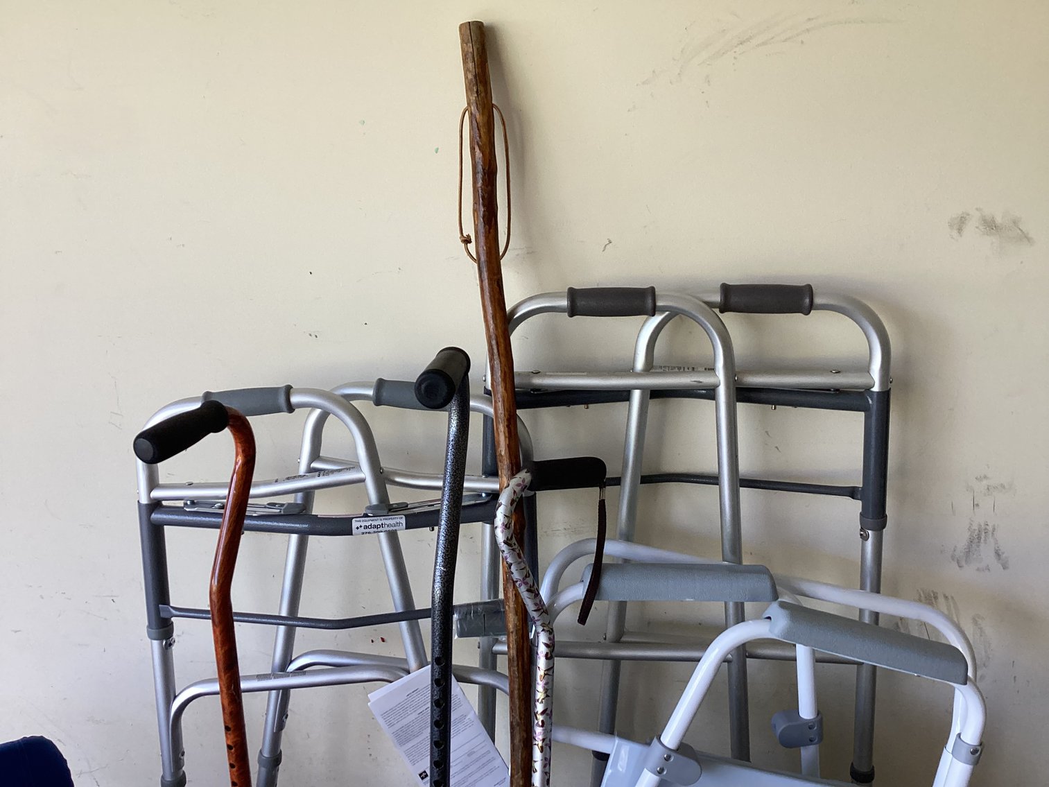 Image for Two Walkers and a Potty Chair