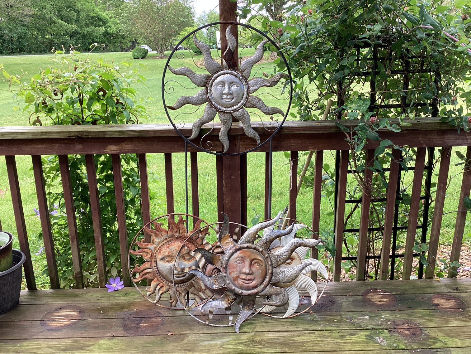 Image for Here Comes the SUN!