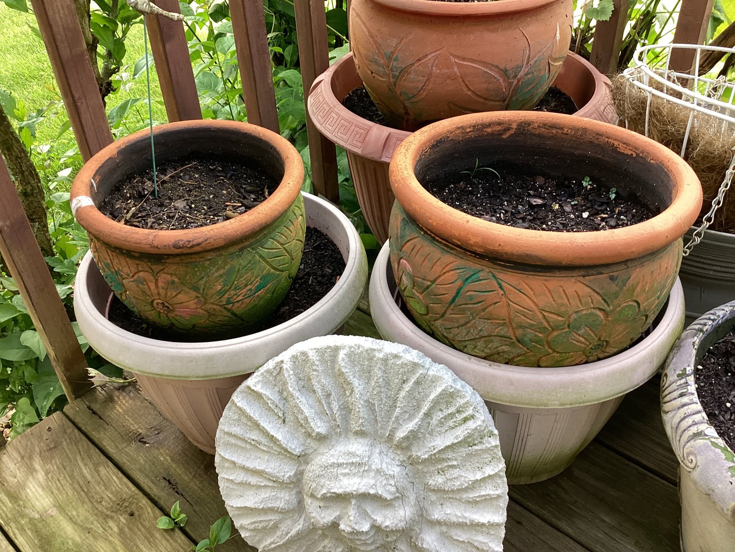 Image for Collection of Flower Pots