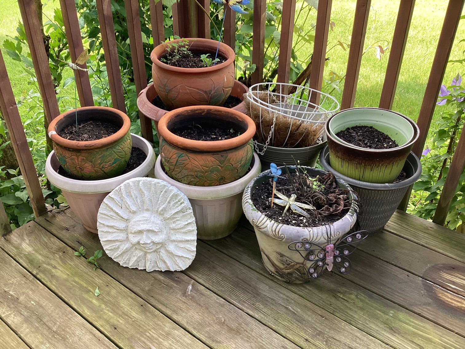 Image for Collection of Flower Pots