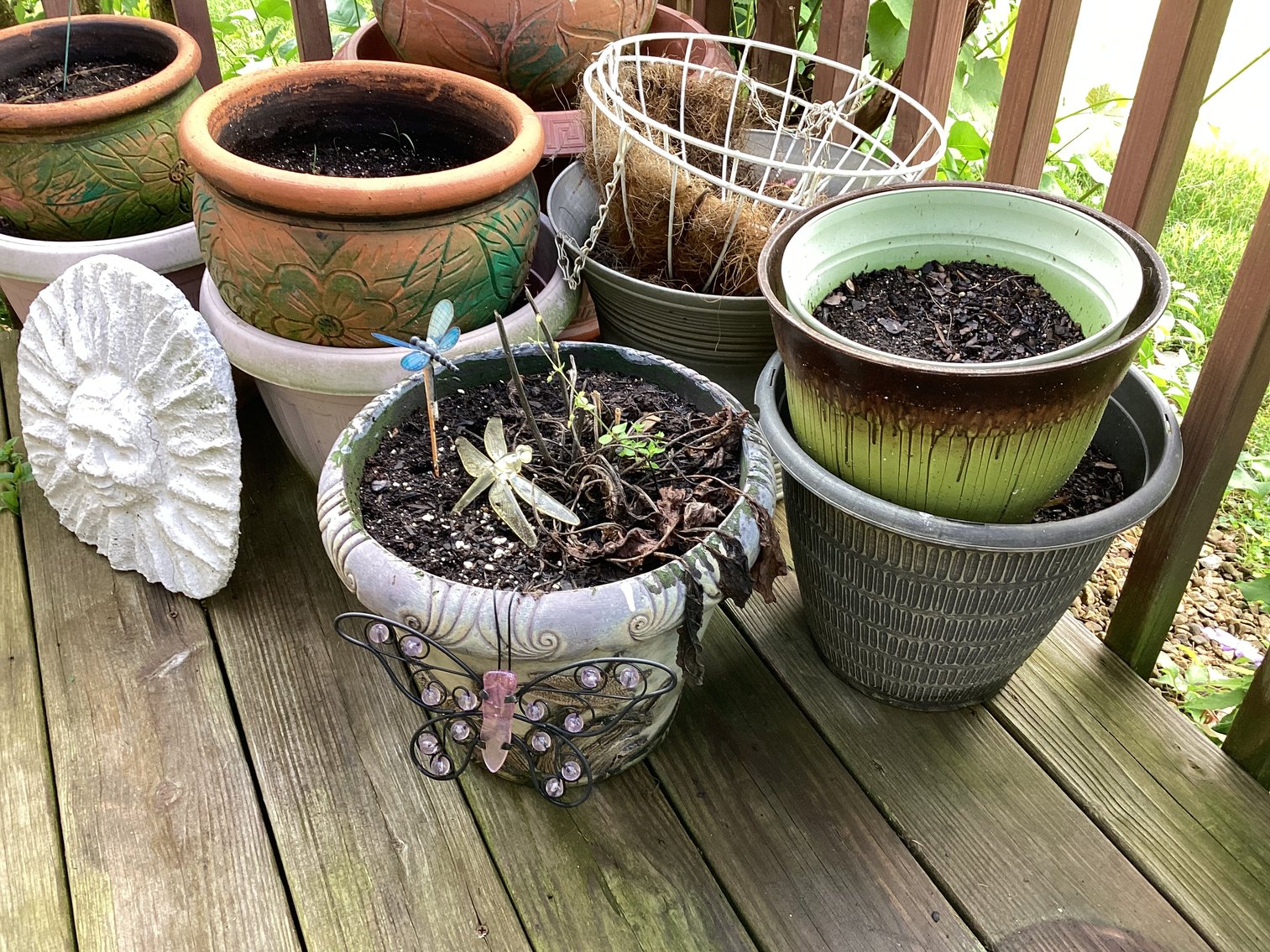 Image for Collection of Flower Pots