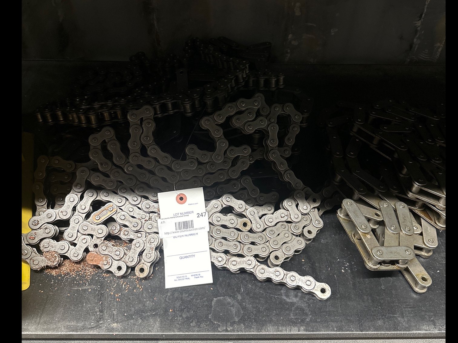 Image for Assortment of Roller Chains