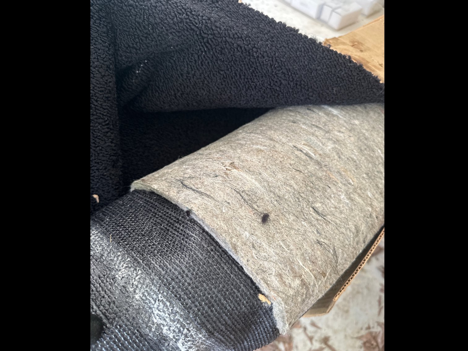 Image for Black Carpet