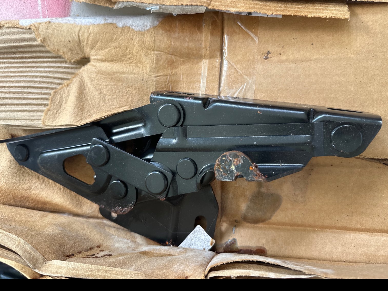 Image for Hood hinge set. Moisture damage