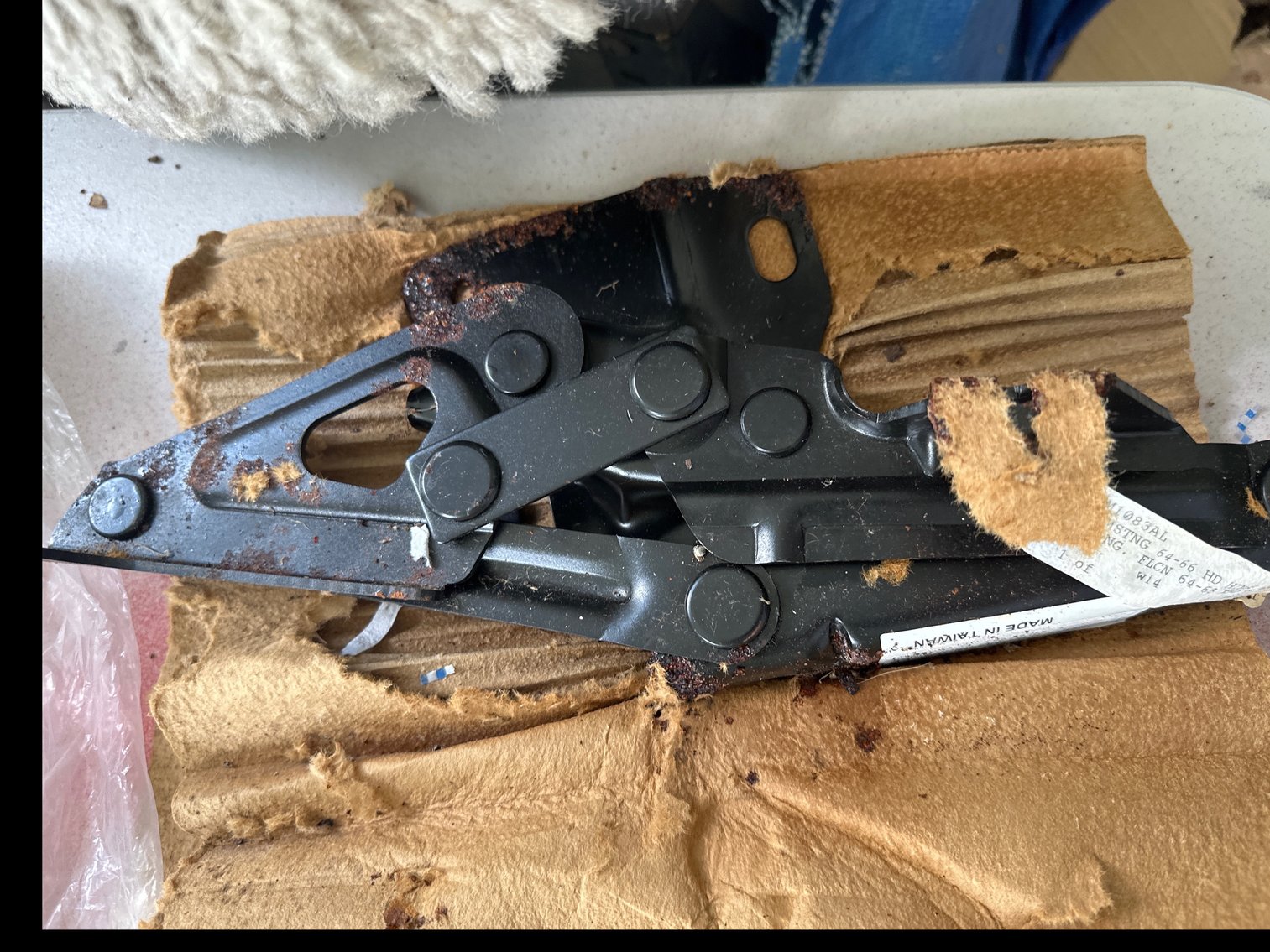 Image for Hood hinge set. Moisture damage