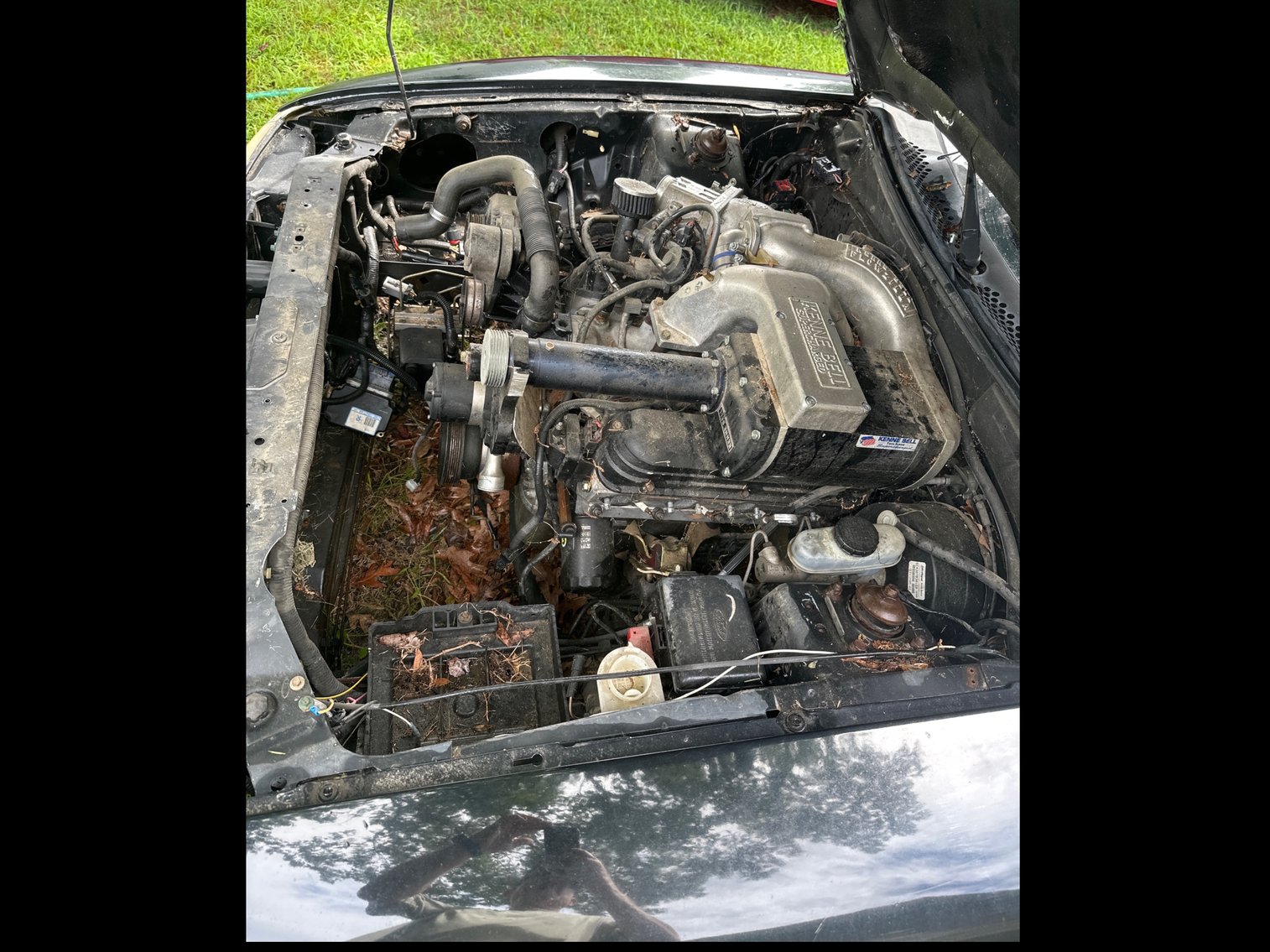 Image for 1995 Ford Mustang Passenger Car