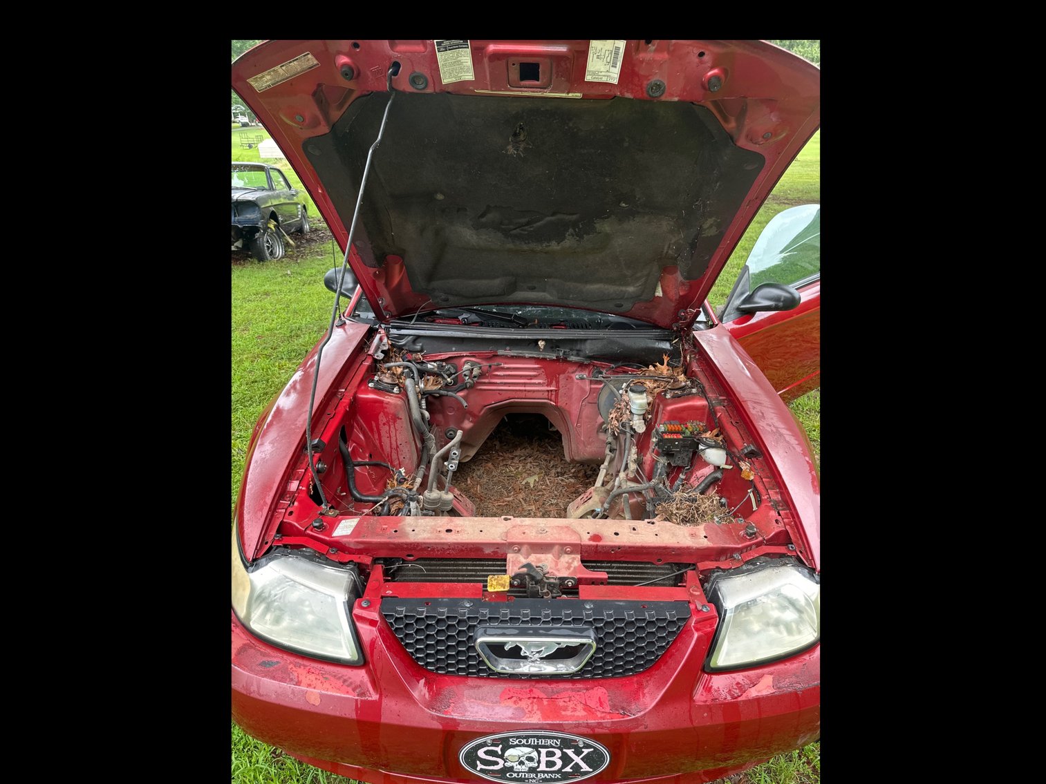 Image for 2000 Ford Mustang Passenger Car and Transmission