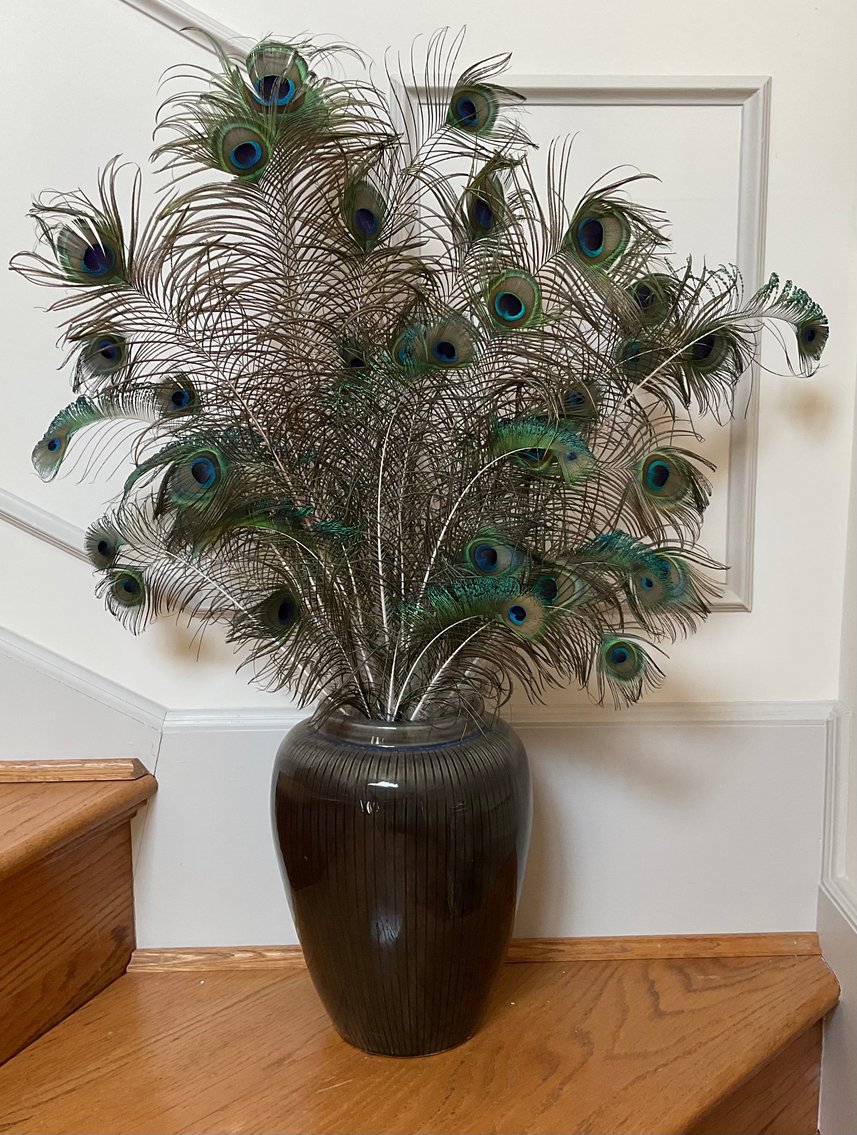 Image for Vase with Peacock Feathers