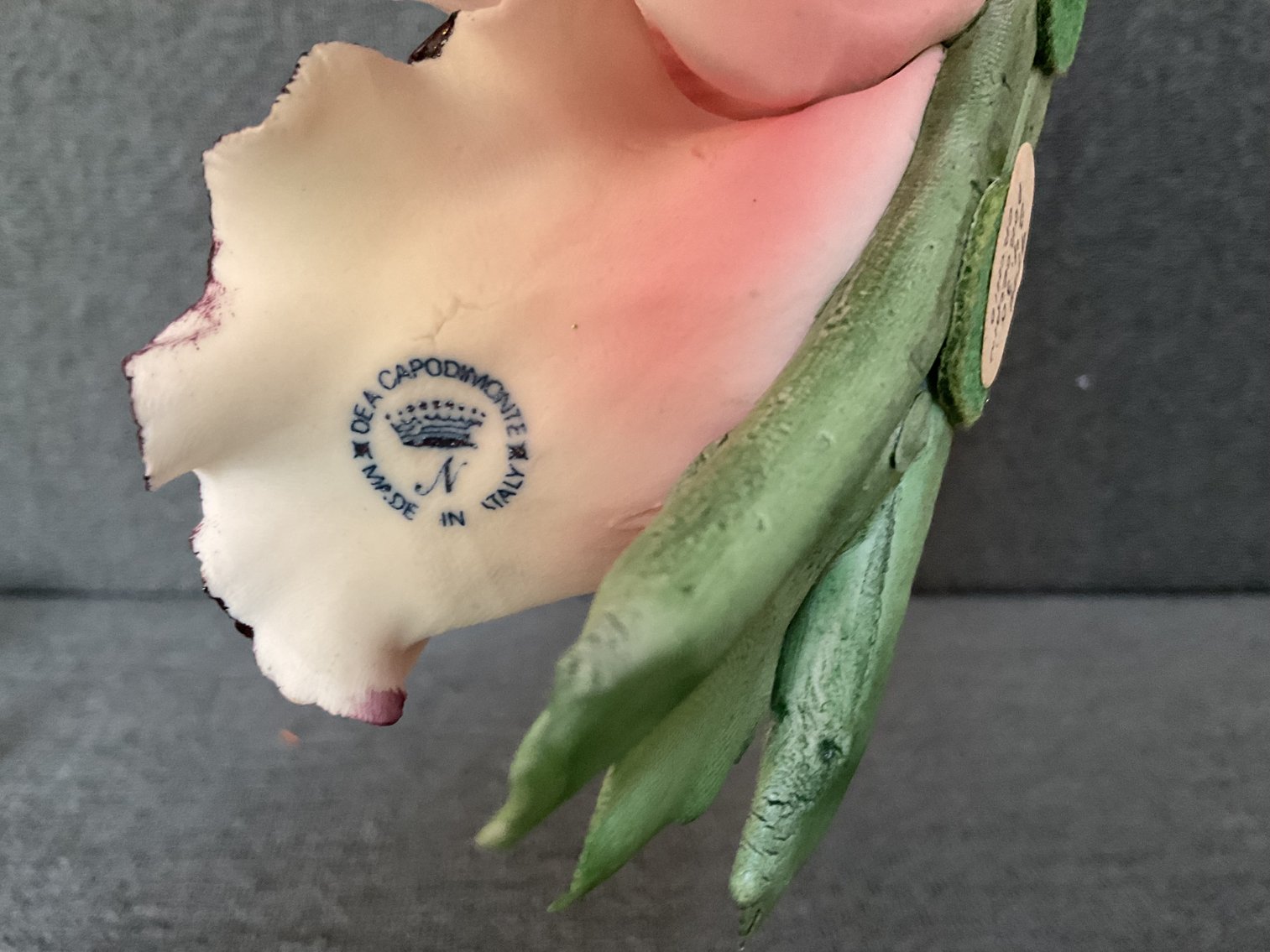 Image for Capodimonte Orchid and More