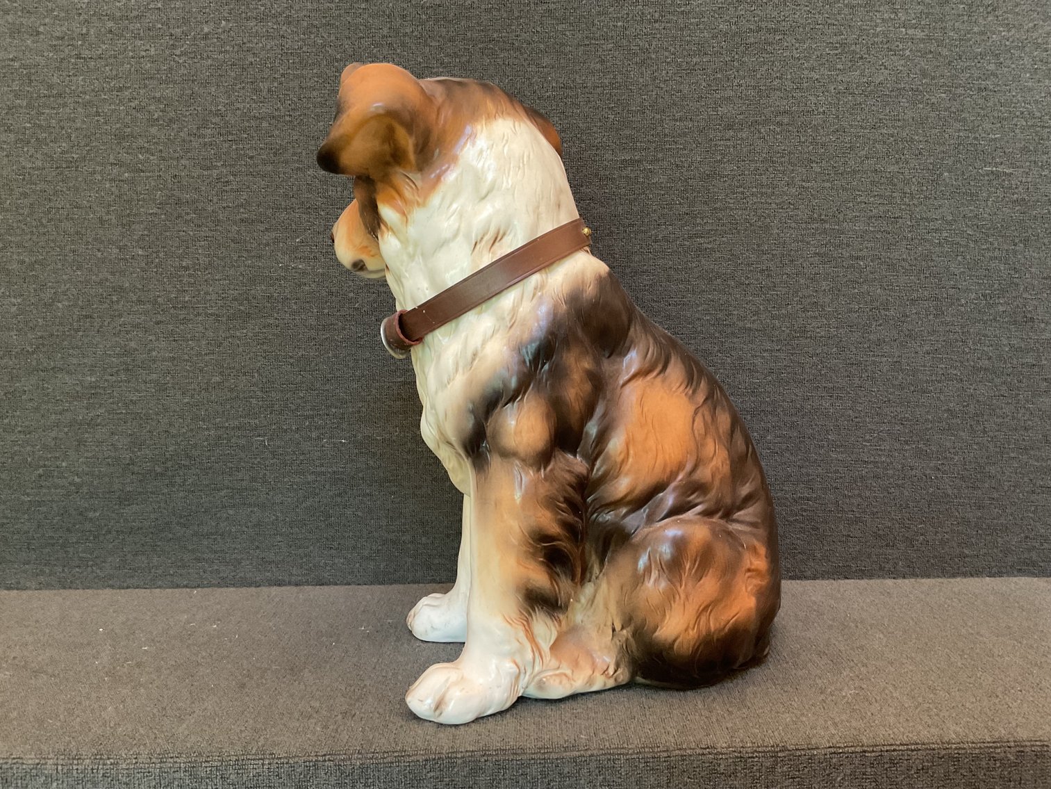 Image for Collie Pup