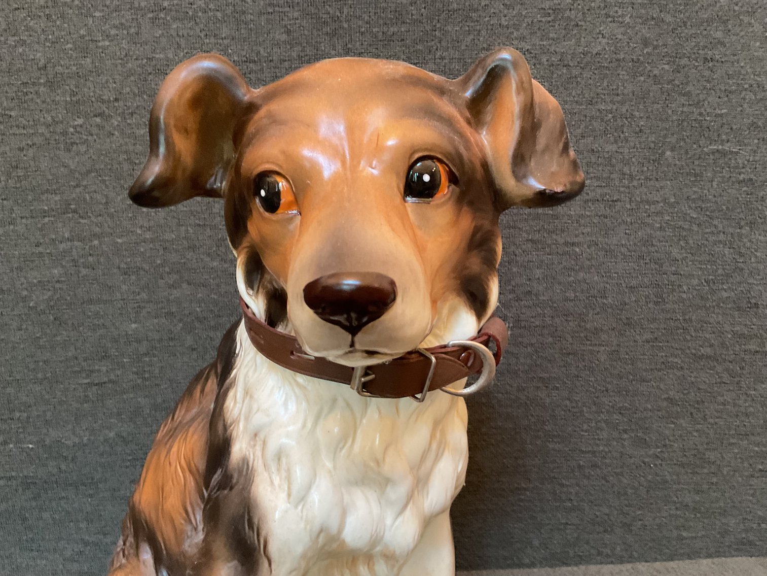 Image for Collie Pup