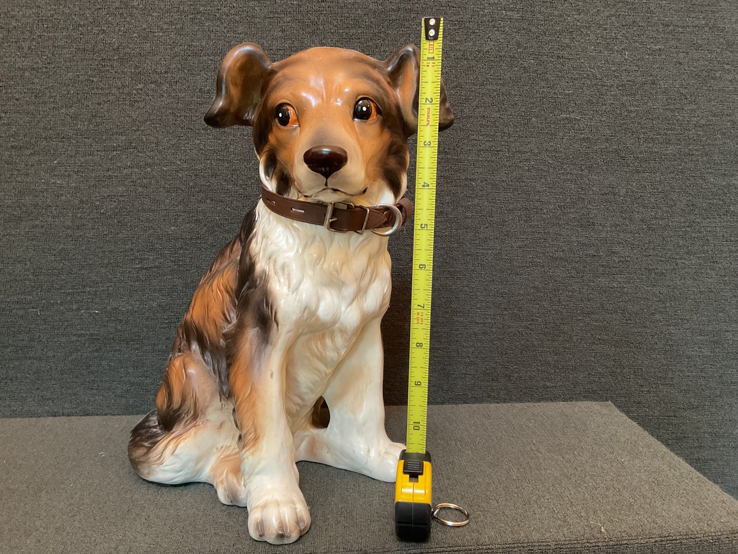 Image for Collie Pup