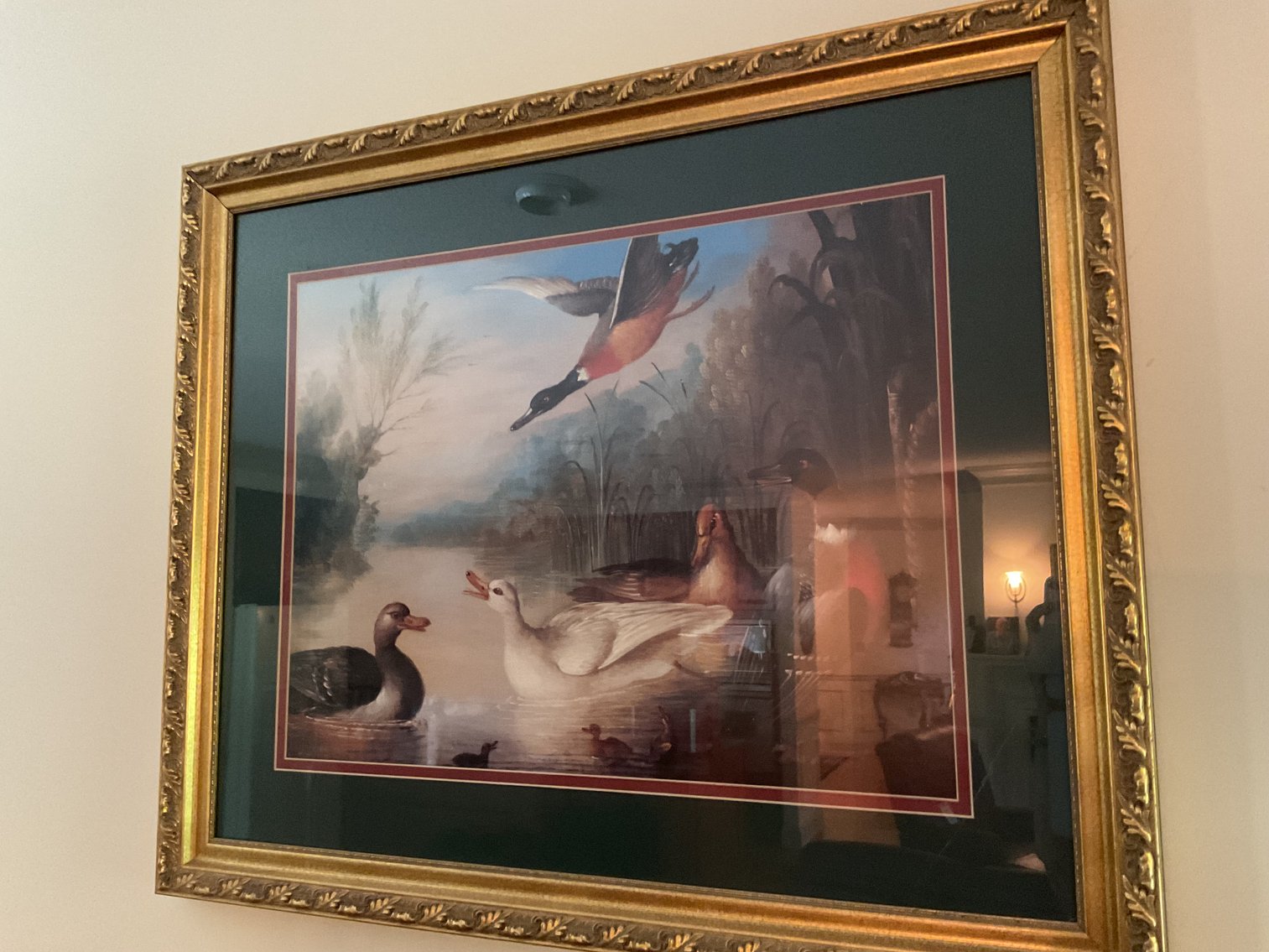 Image for Framed Prints