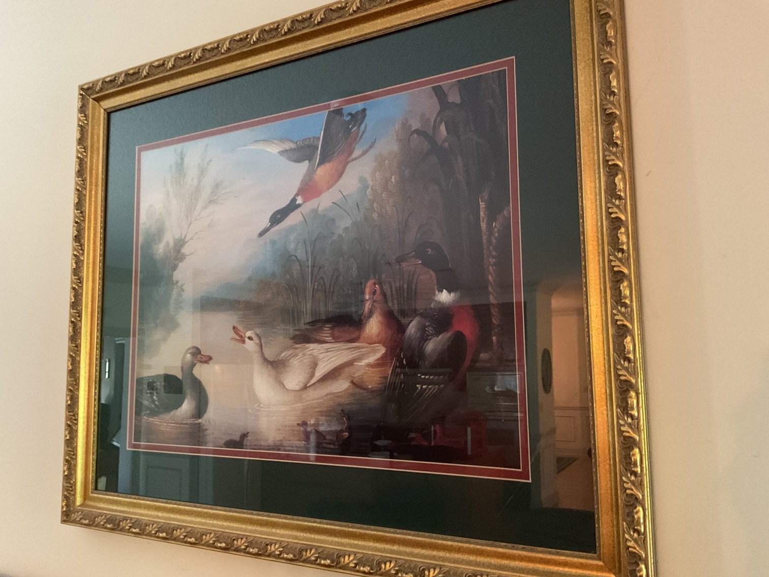 Image for Framed Prints