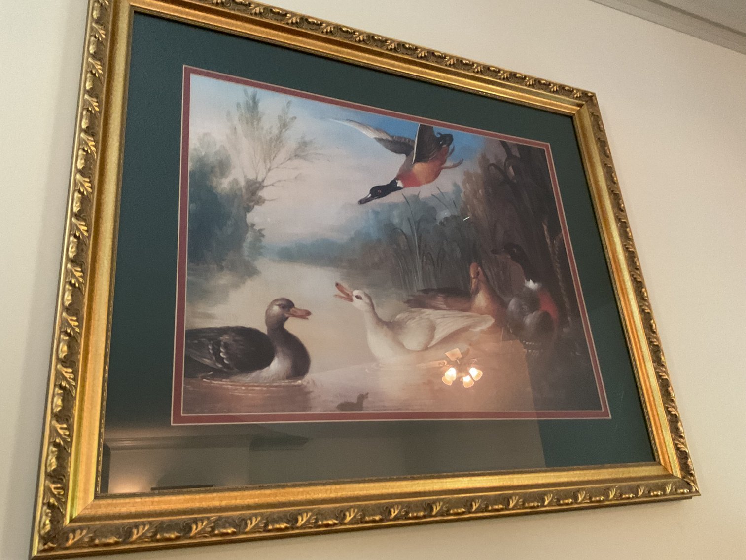 Image for Framed Prints