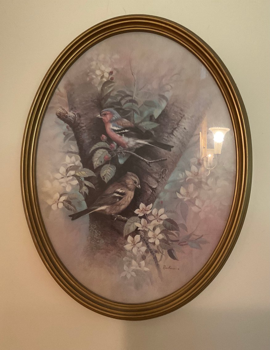 Image for Collection of Picture Frames