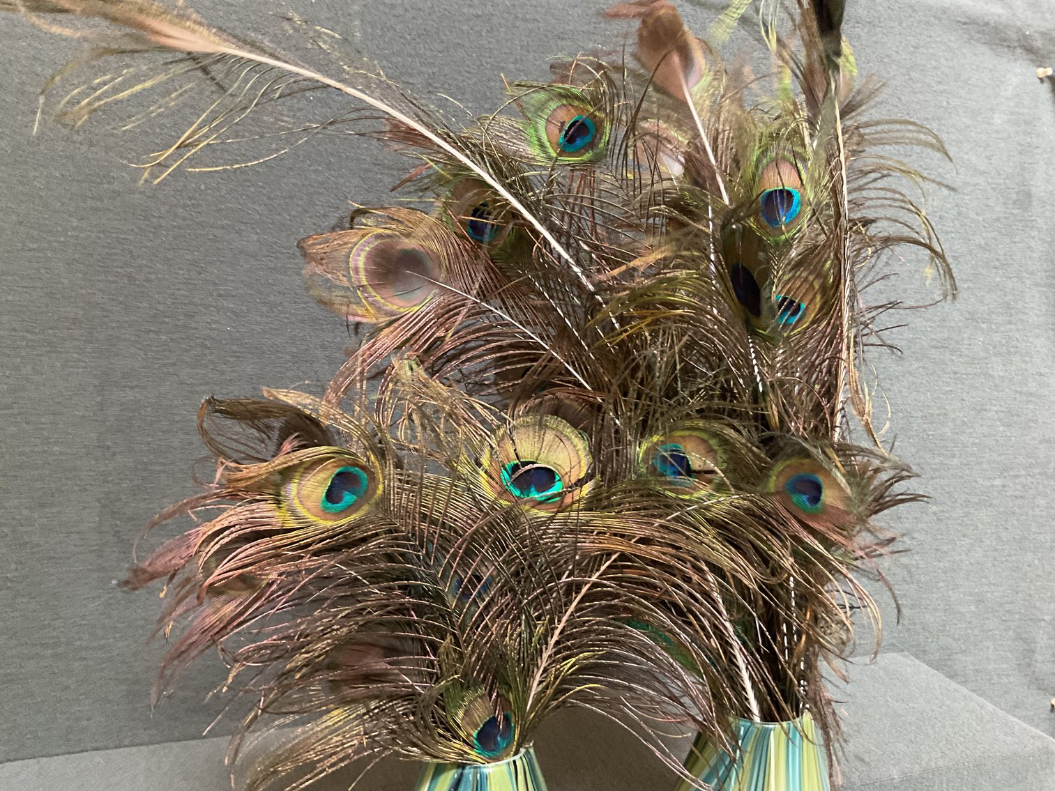 Image for Peacock Feathers in Glass Vases